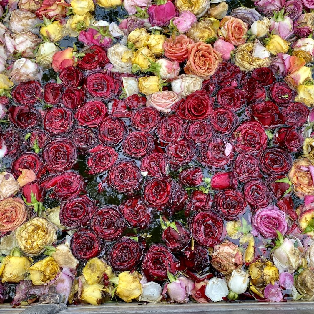 Kreatives Schreiben in der GeschichtenBäckerei  GeschichtenBäckerei